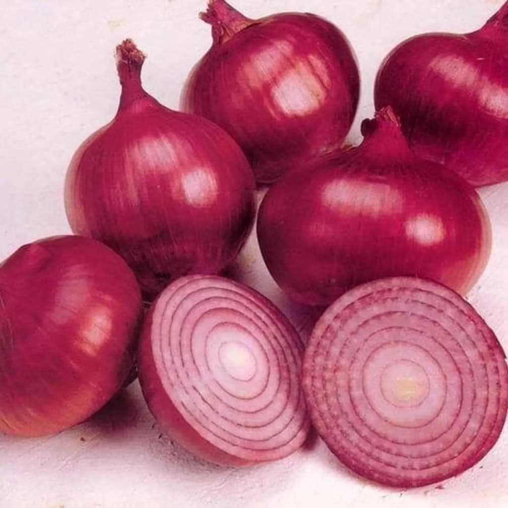 Export Onion